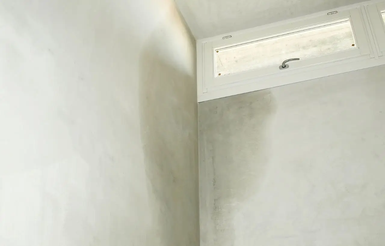Immagine selezionata