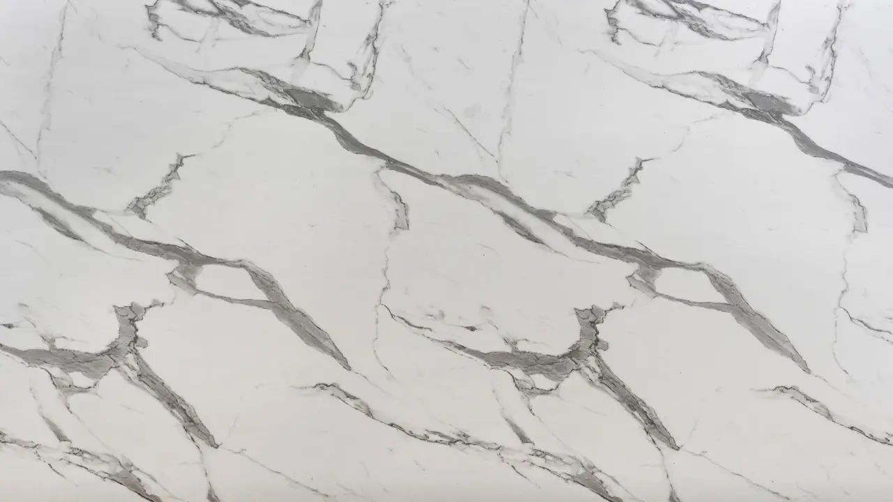 Immagine selezionata