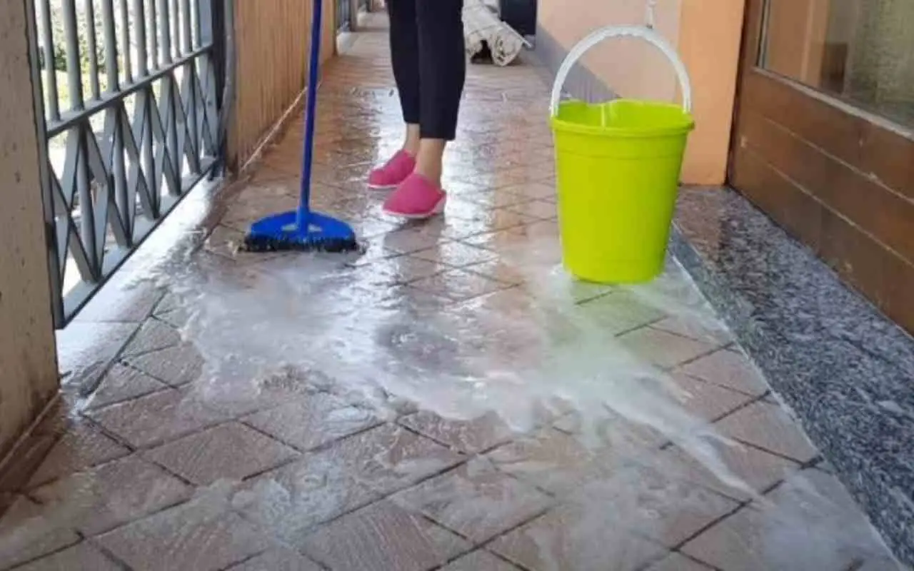 Immagine selezionata