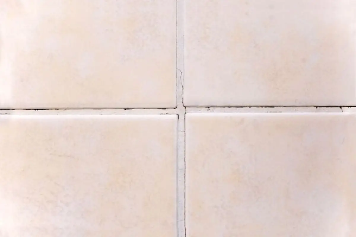 Immagine selezionata