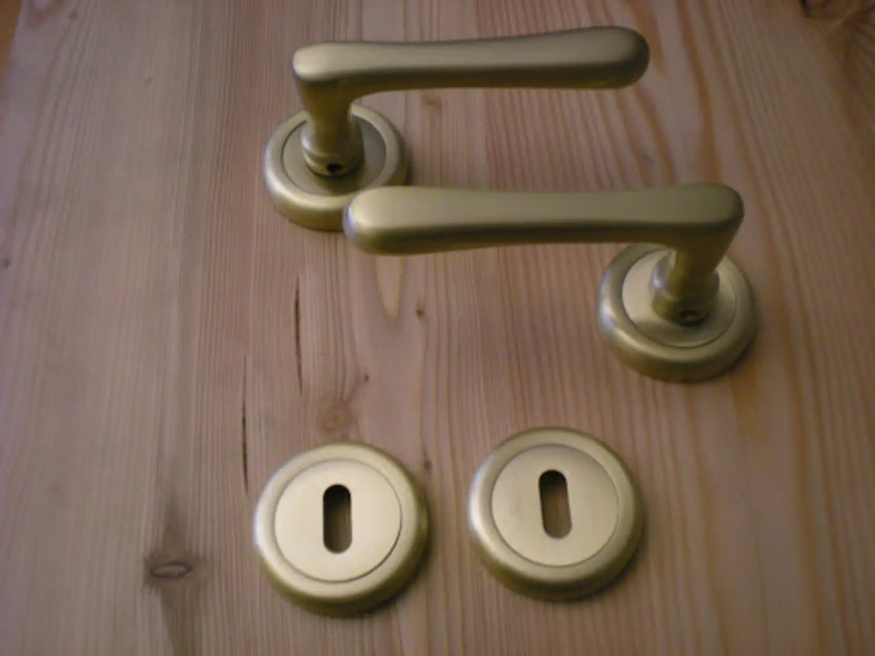 Immagine selezionata