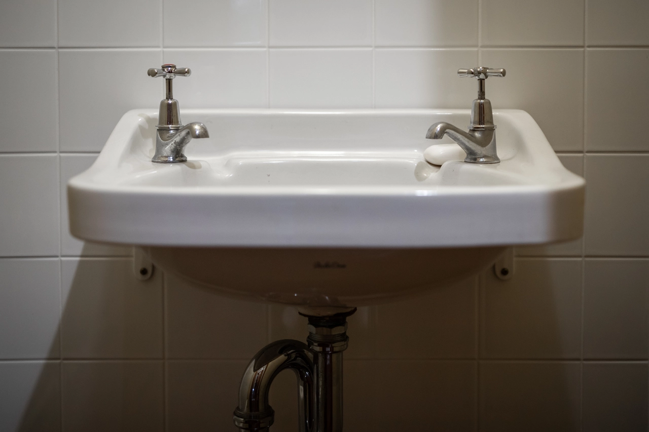 Immagine selezionata