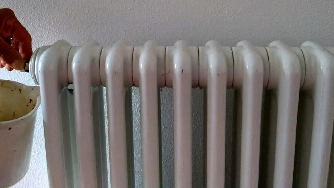 Immagine selezionata