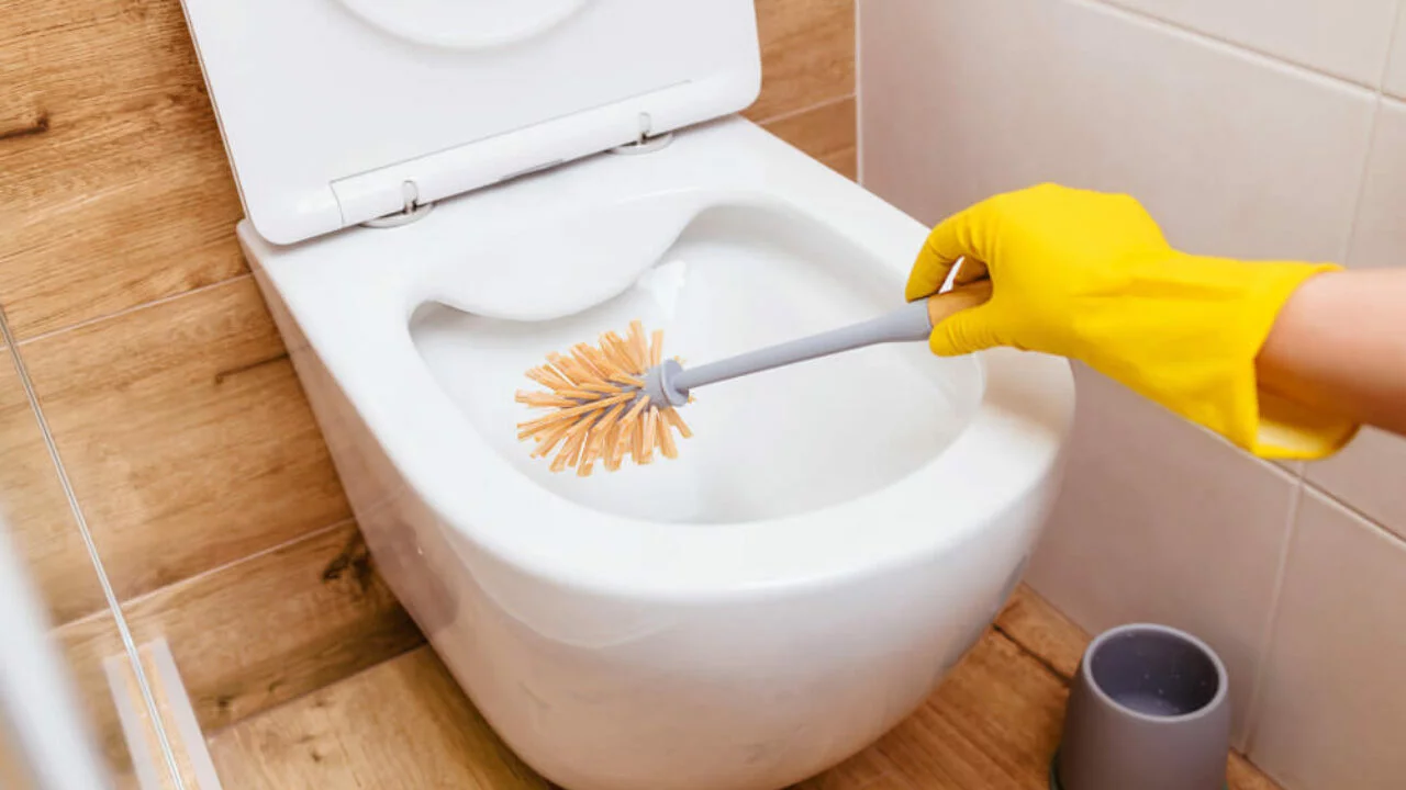 Immagine selezionata